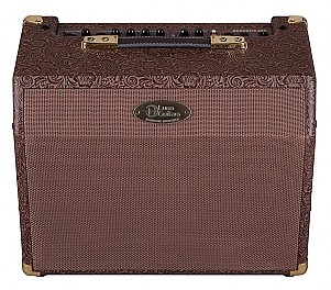 Luna AA25 25 watt Acoustic Guitar Amp with mic channel and chorus